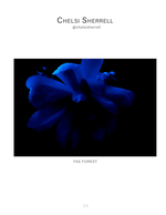 blue-lit flower close-up fine art photography