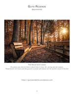 fall park landscape photography