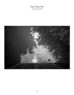 foggy country road landscape photography