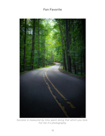 winding forest road landscape photography