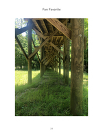 wooden boardwalk structure in forest landscape photography