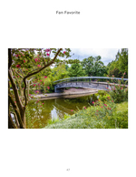 arched footbridge with blooming flowers landscape photography