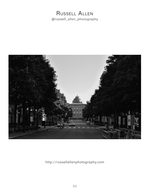 tree-lined avenue leading to state capitol dome cityscape photography