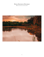 autumn sunset over a marsh lake landscape photography