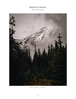 snow-capped mountain summit through pine trees landscape photography