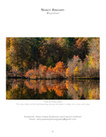 fall foliage reflected on still lake water landscape photography