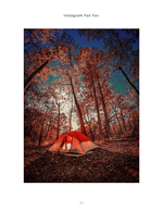 orange tent glowing beneath autumn trees landscape photography
