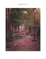 tree-lined path with a red lamppost in autumn light landscape photography