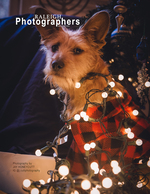 small dog wrapped in string lights pet photography
