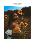 woman in sunflower field at golden hour portrait photography