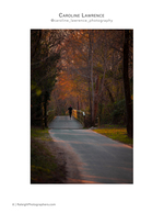 runner crossing wooden bridge in autumn nature photography