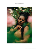 woman among pink roses portrait photography