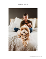 dog resting on bed with owner pet photography
