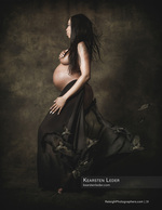fine art maternity silhouette with birds in flight maternity photography
