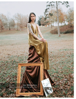 woman in gold gown with vintage picture frames portrait photography