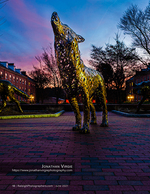 howling wolf sculpture silhouetted at dusk cityscape photography