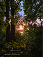sunset through the trees over a trestle bridge landscape photography
