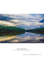 tree line reflected across a still lake nature photography