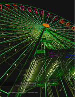 illuminated ferris wheel at night cityscape photography
