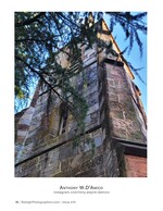 stone church tower framed by pine branches architecture photography