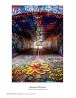 graffiti-covered pedestrian tunnel with a painted flower urban photography