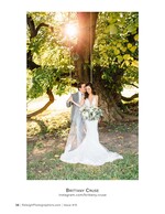 bride and groom beneath a tree swing at golden hour wedding photography