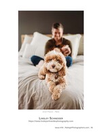 puppy on a bed with its owner pet photography