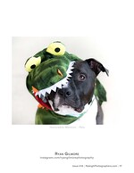 dog wearing a dinosaur costume hood pet photography