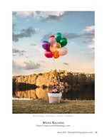 baby in a hot air balloon basket set-up infant photography