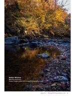 autumn creek reflecting golden foliage nature landscape photography