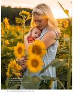mother holding her baby in a sunflower field family photography