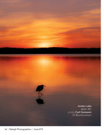heron silhouetted on the water at sunset wildlife photography