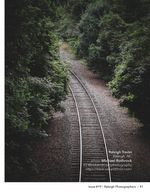 train tracks curving through overgrown woods urban photography